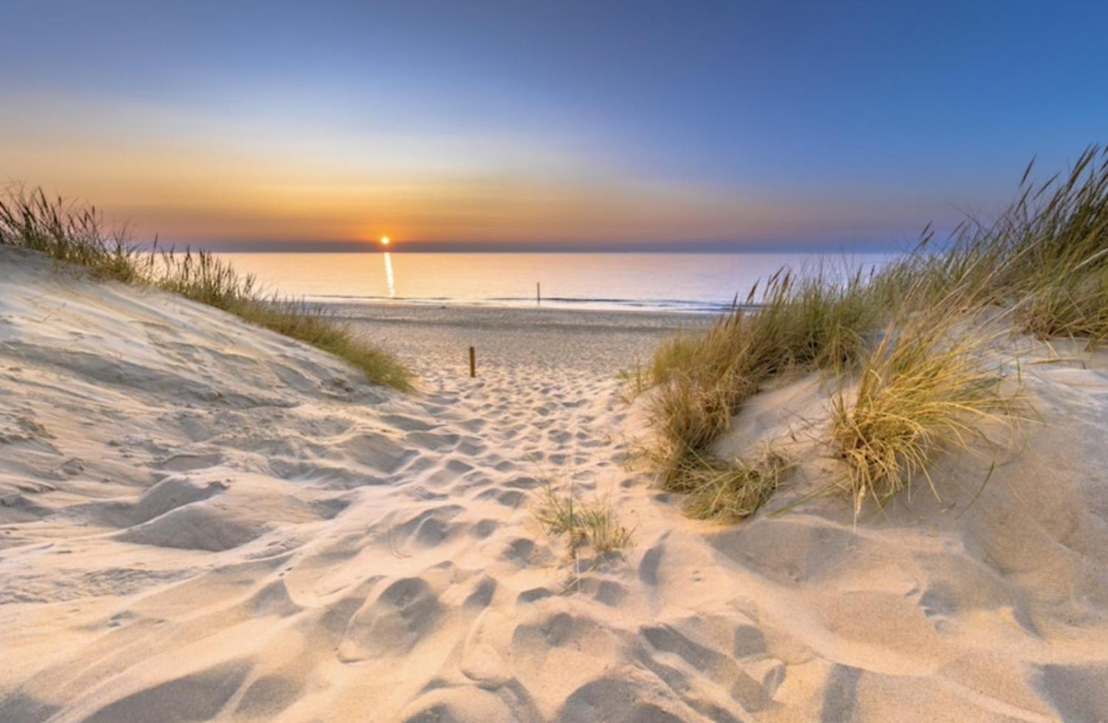Green Horizon De Haan Bagian luar foto